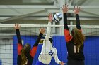 VB vs ENC  Wheaton College Women's Volleyball vs Eastern Nazarene College. - Photo By: KEITH NORDSTROM : Wheaton, volleyball, VB, Eastern Nazarene College
